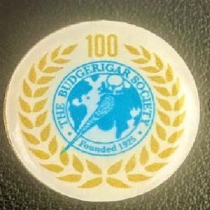 BS Centenary Lapel Badge