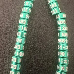 2026 Standard Exhjbition Rings