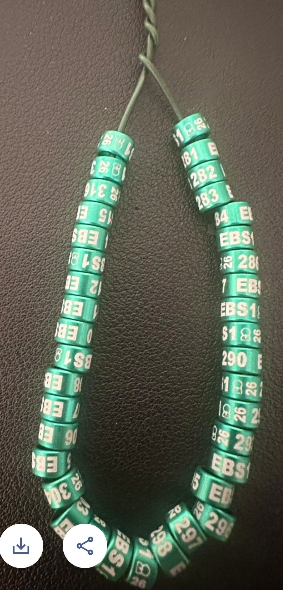 2026 Standard Exhjbition Rings